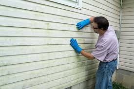 Reliable Nashville, IL Siding Services Solutions